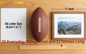 Collection of everyday items measuring 11 inches next to a ruler.