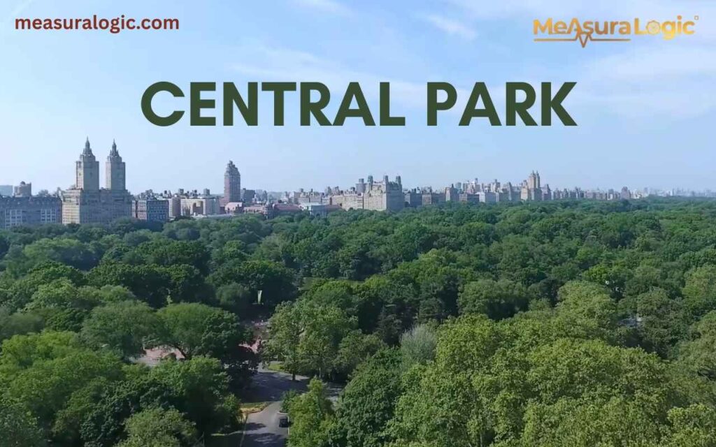 Lush green canopy of Central Park during the day with the New York city’s residential skyline bordering the trees.