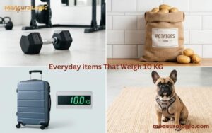 A four panel grid comparing 10 kg objects: a matte black dumbbell, sack of potatoes, blue suitcase next to a digital scale reading 10.0 kg and a French Bulldog.
