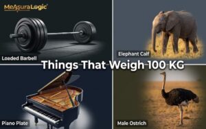 A 2x2 grid graphic titled "Things That Weigh 100 KG". It features a loaded barbell, an elephant calf, a piano plate, and a male ostrich.