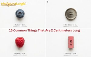 A four grid collage featuring a blueberry, shirt button, raspberry, and pink eraser cap. Each item is directly above a label reading "2 cm."