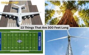 Top panels show an aerial view of a cargo plane and an upward perspective of a giant sequoia. Bottom panels display a top-down football field and an upward shot of a wind turbine.