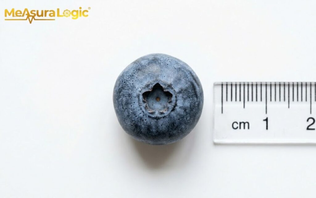 A blueberry and a clear plastic centimeter ruler. The markings indicate the blueberry is about 1.2 cm wide.