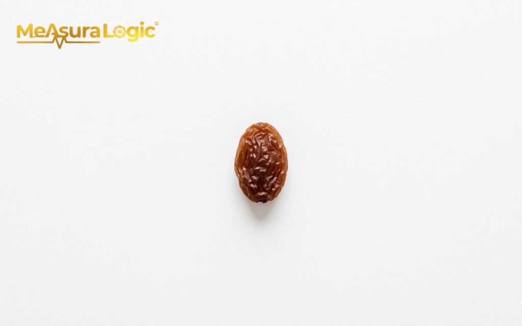 A single, wrinkled 1 gram raisin. Isolated on a white background.